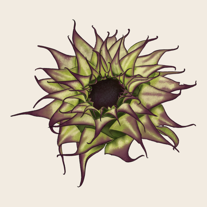 Sun   Fill Purple Sunflower Premium Sweatshirt by LillyAllenDesigns | Teevron
