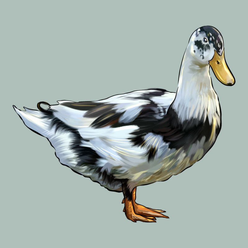 Ancona Duck Heavyweight Hoodie by LillyAllenDesigns | Teevron