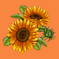 Soraya Sunflower Premium Sweatshirt | Teevron