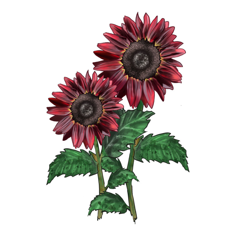 2 Chocolate Sunflower Premium Sweatshirt by LillyAllenDesigns | Teevron