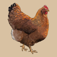 New Hampshire Red Chicken Heavyweight Hoodie | Teevron