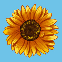 Soraya Sunflower Premium Sweatshirt | Teevron