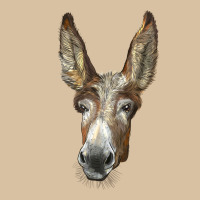 American Mammoth Jackstock Donkey  Face Heavyweight Hoodie | Teevron