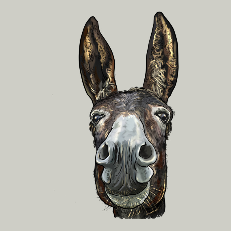 Donkey  Face Heavyweight Hoodie by LillyAllenDesigns | Teevron