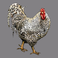 Dominique Rooster Heavyweight Hoodie | Teevron