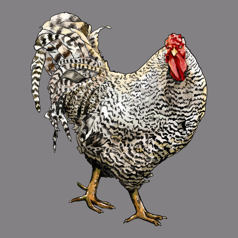 Dominique Rooster Heavyweight Hoodie by LillyAllenDesigns | Teevron
