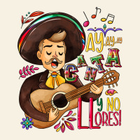 Ay, Ay, Ay Canta Y No Llores! Vintage Tee | Teevron