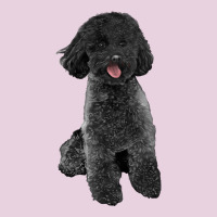 Black Poodles Dog Ladies Tee | Teevron