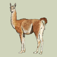 Guanaco Llama Heavyweight Hoodie | Teevron