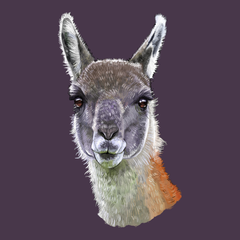 Guanaco Llama Head Heavyweight Hoodie by LillyAllenDesigns | Teevron