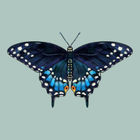 Black Swallowtail Butterfly Premium Sweatshirt | Teevron