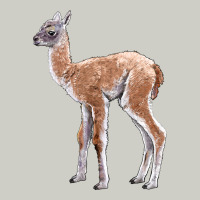 Guanaco Llama Baby Heavyweight Hoodie | Teevron