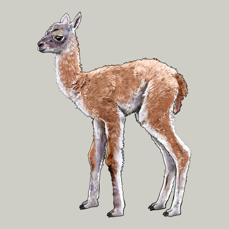 Guanaco Llama Baby Heavyweight Hoodie by LillyAllenDesigns | Teevron