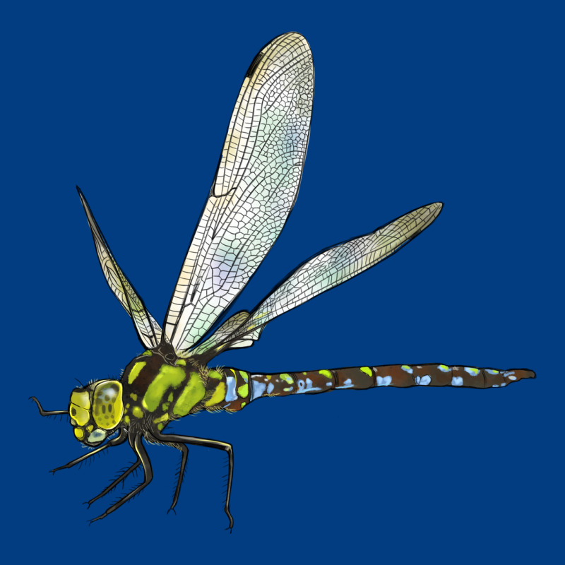 Blue And Yellow Dragonfly Premium Sweatshirt by LillyAllenDesigns | Teevron