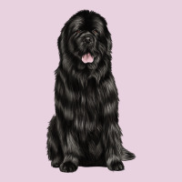 Newfoundland Dog Ladies Tee | Teevron