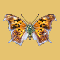Question Mark Butterfly Premium Sweatshirt | Teevron