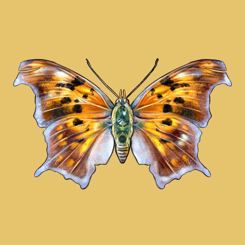 Question Mark Butterfly Premium Sweatshirt by LillyAllenDesigns | Teevron