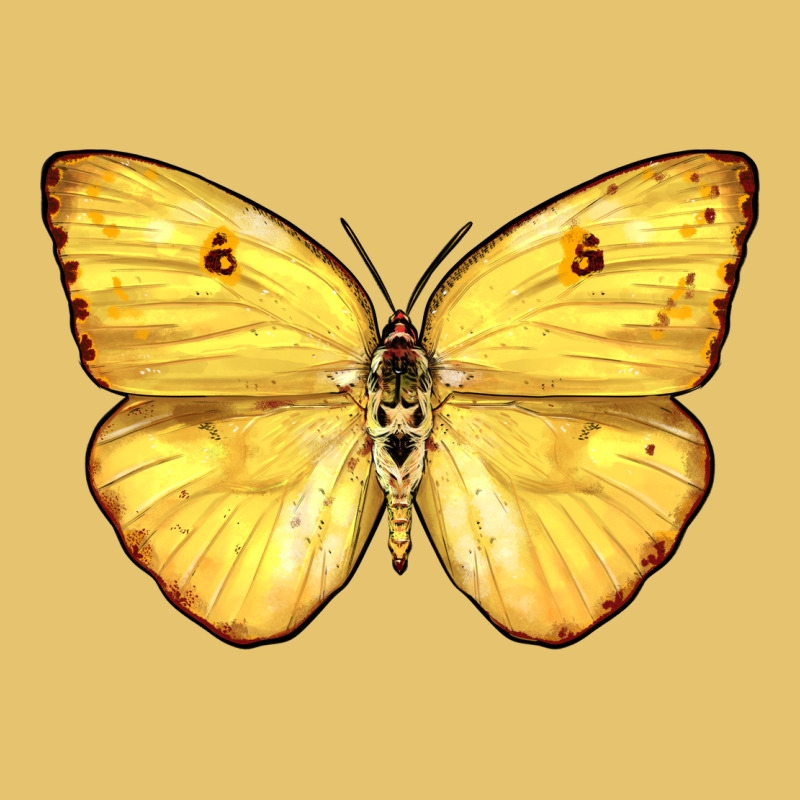 Cloudless Sulphur Butterfly Premium Sweatshirt by LillyAllenDesigns | Teevron