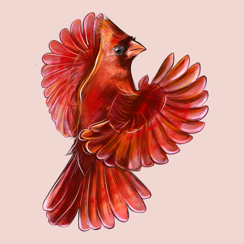 Flying Northern Cardinal Bird Premium Sweatshirt by LillyAllenDesigns | Teevron