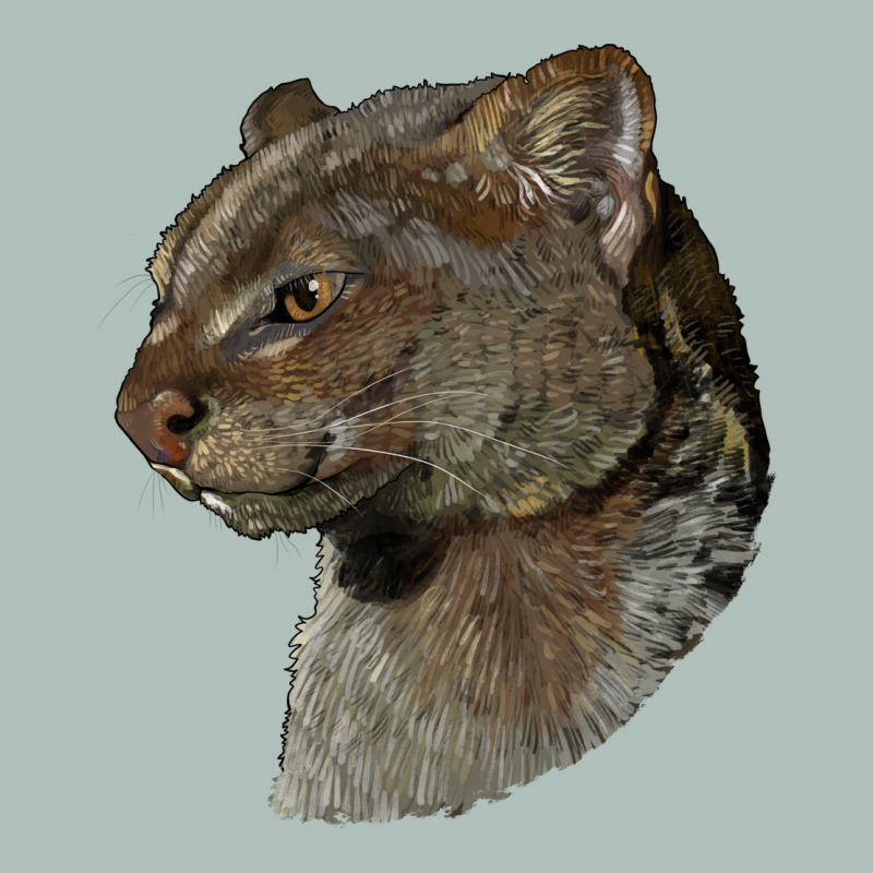 Jaguarundi Head Heavyweight Hoodie by LillyAllenDesigns | Teevron