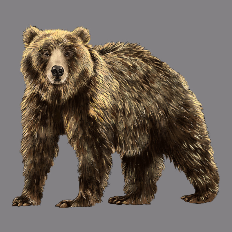 Brown Bear Heavyweight Hoodie by LillyAllenDesigns | Teevron