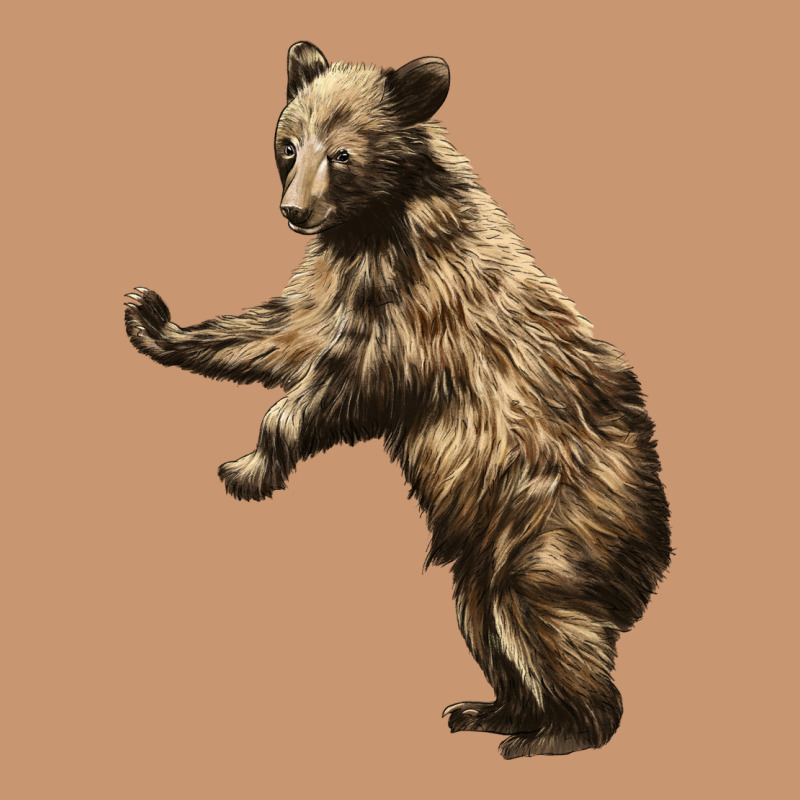 Brown Bear Cub Heavyweight Hoodie by LillyAllenDesigns | Teevron
