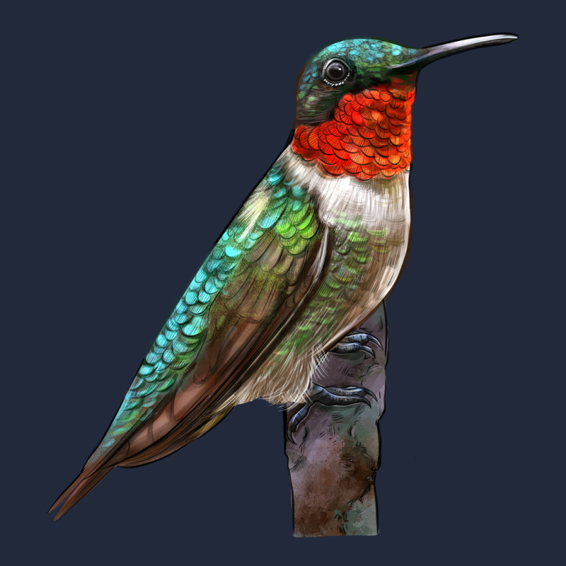 Ruby Throated Hummingbird Bird Premium Sweatshirt by LillyAllenDesigns | Teevron