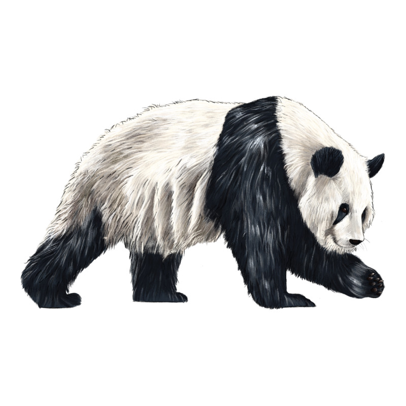 Walking Panda Heavyweight Hoodie by LillyAllenDesigns | Teevron