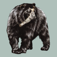 Spectacled Bear Heavyweight Hoodie | Teevron