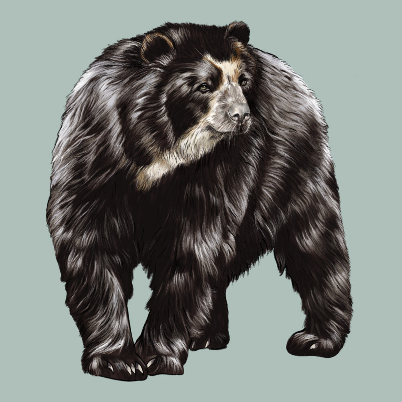 Spectacled Bear Heavyweight Hoodie by LillyAllenDesigns | Teevron