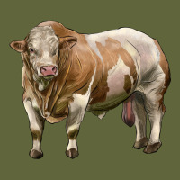 Simmental Bull Classic Tee | Teevron