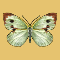Cabbage Butterfly Premium Sweatshirt | Teevron