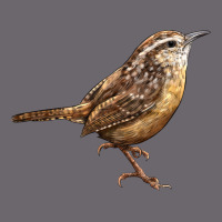 Ccarolina Wren Premium Sweatshirt | Teevron