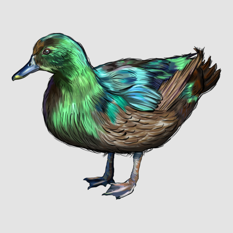 Cayuga Duck Premium Sweatshirt by LillyAllenDesigns | Teevron