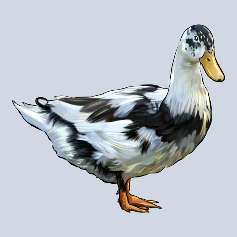 Ancona Duck Premium Sweatshirt by LillyAllenDesigns | Teevron