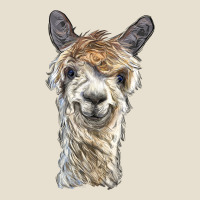 Alpaca Urban Hoodie | Teevron