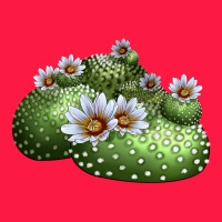 Blossfeldia Cactus Zipper Hoodie | Teevron