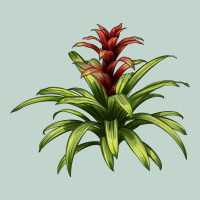 Bromeliads Zipper Hoodie | Teevron