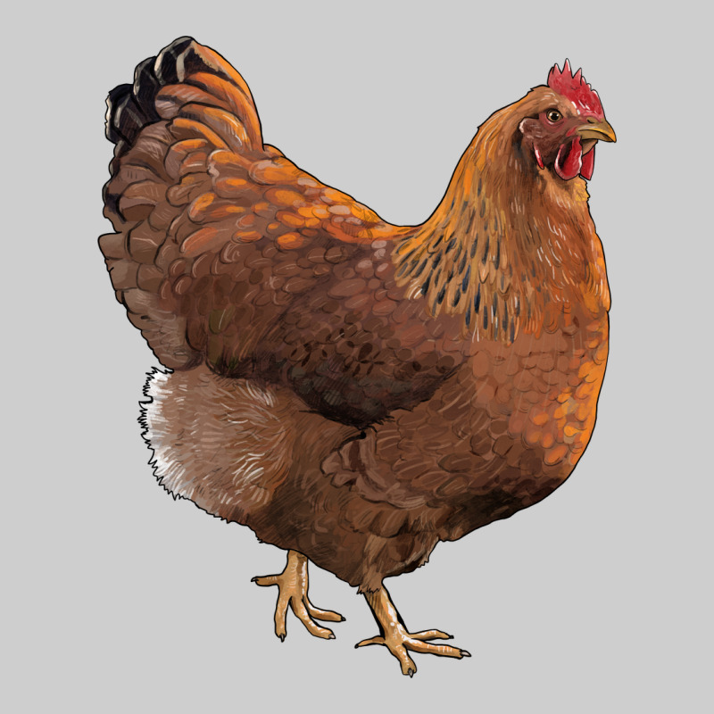 New Hampshire Red Chicken Premium Sweatshirt by LillyAllenDesigns | Teevron