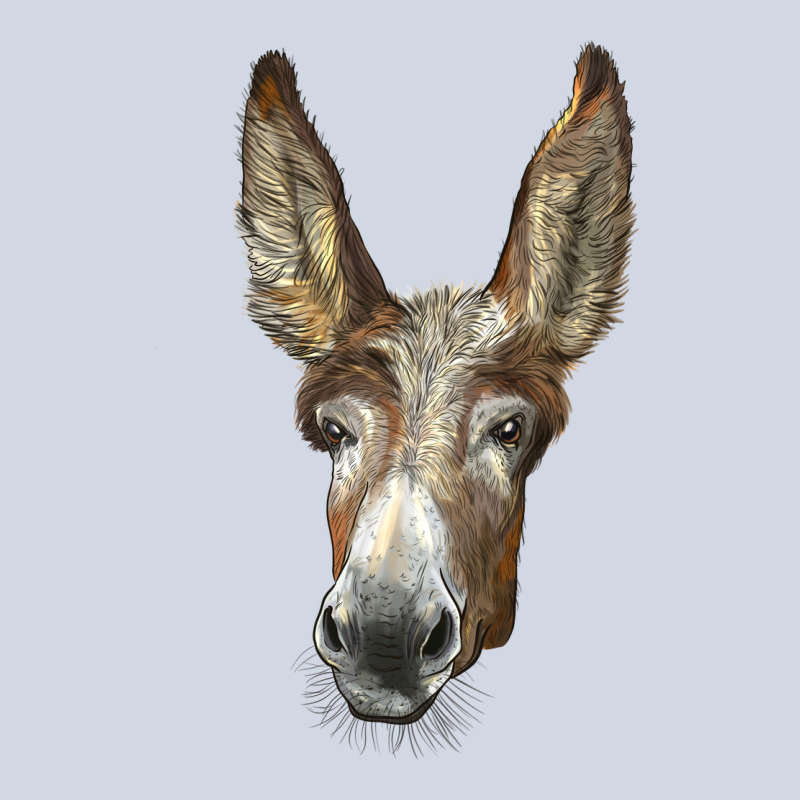 American Mammoth Jackstock Donkey  Face Premium Sweatshirt by LillyAllenDesigns | Teevron