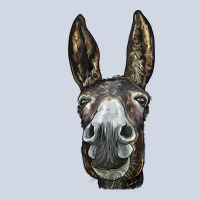 Donkey  Face Premium Sweatshirt | Teevron