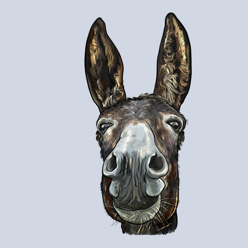 Donkey  Face Premium Sweatshirt by LillyAllenDesigns | Teevron