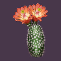 King Cup Cactus Heavyweight Hoodie | Teevron