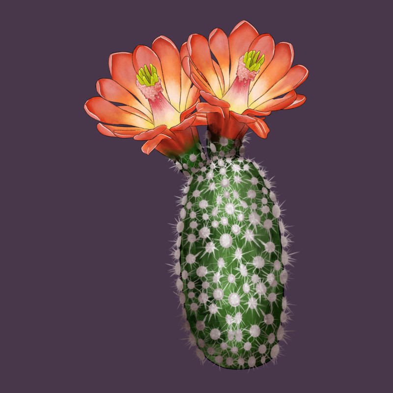 King Cup Cactus Heavyweight Hoodie by LillyAllenDesigns | Teevron