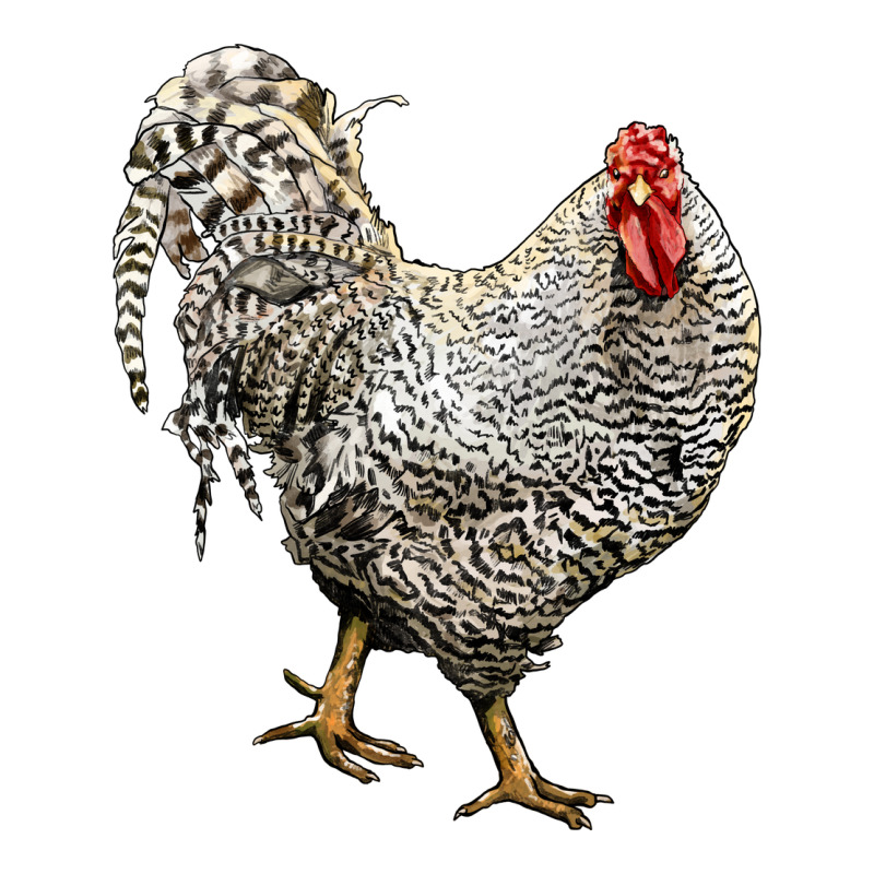 Dominique Rooster Premium Sweatshirt by LillyAllenDesigns | Teevron