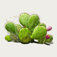Desert Prickly Pear Cactus Zipper Hoodie | Teevron