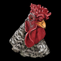 Dominique Rooster Head Premium Sweatshirt | Teevron