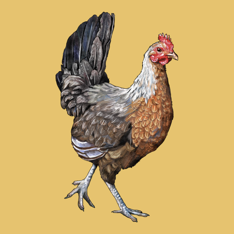 American Game Chicken Premium Sweatshirt by LillyAllenDesigns | Teevron