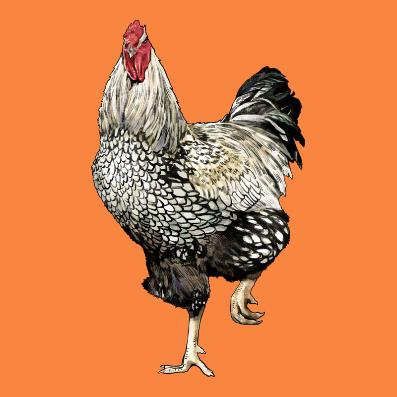 Wyandotte Rooster Premium Sweatshirt by LillyAllenDesigns | Teevron