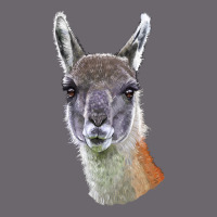 Guanaco Llama Head Premium Sweatshirt | Teevron